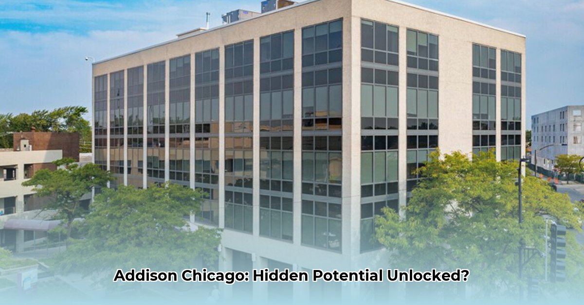 5600-w-addison-chicago-il